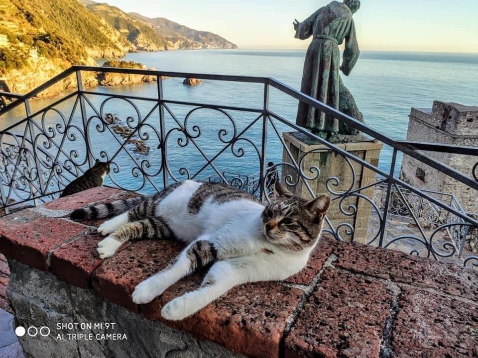 La Rosa Dei Venti Hotel Monterosso al Mare Luaran gambar