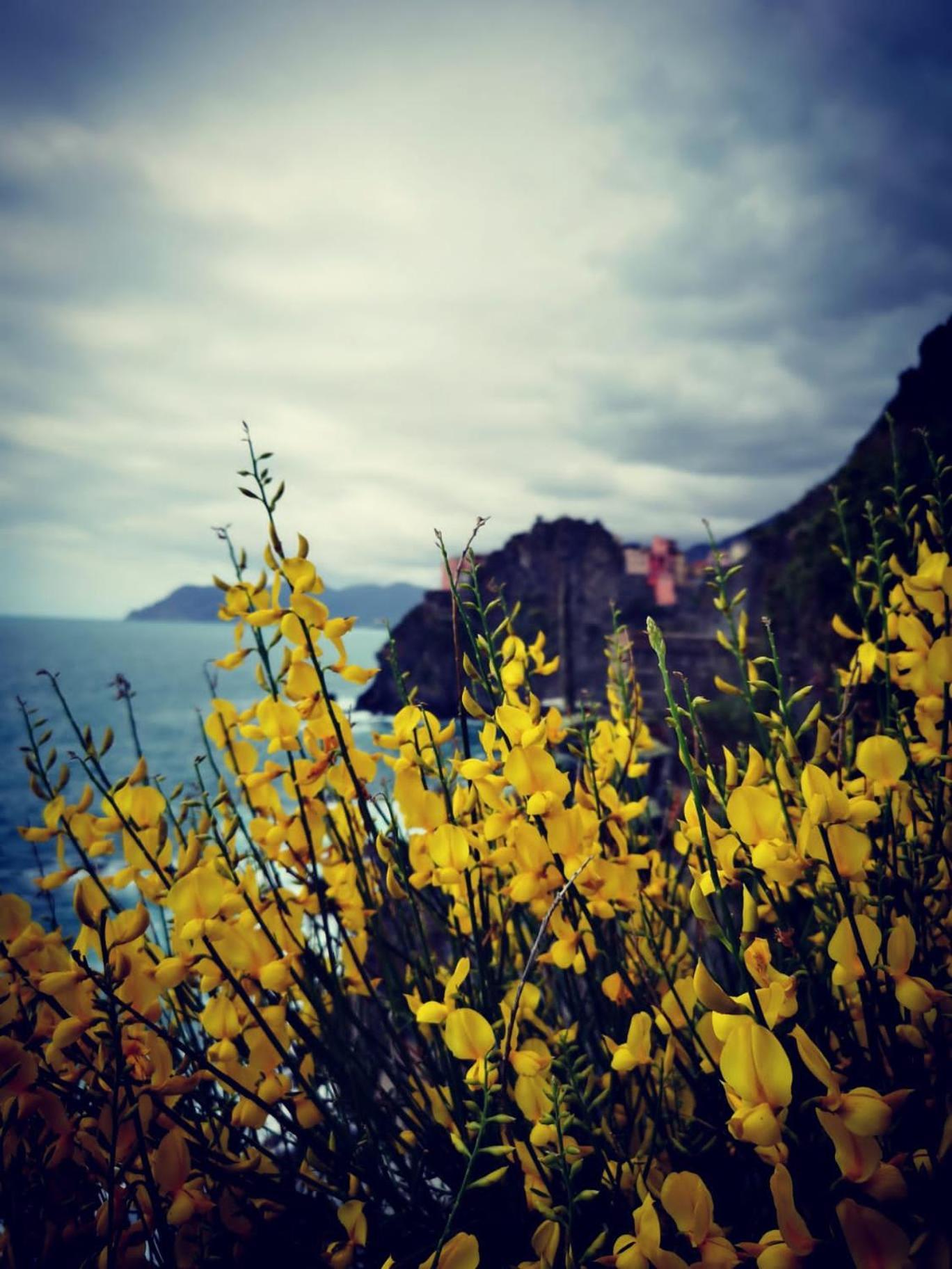 La Rosa Dei Venti Hotel Monterosso al Mare Luaran gambar